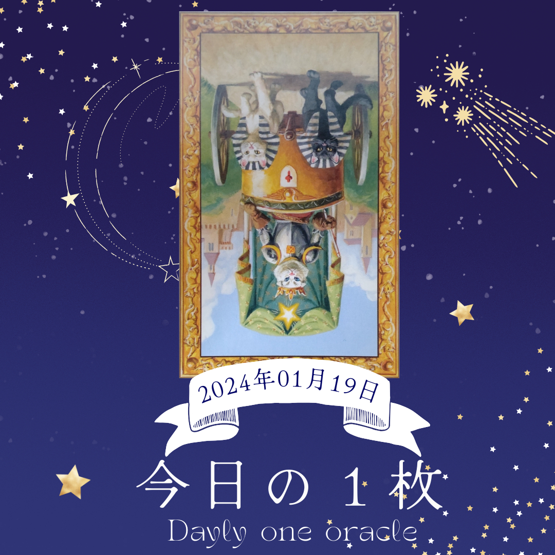 今日の１枚.png