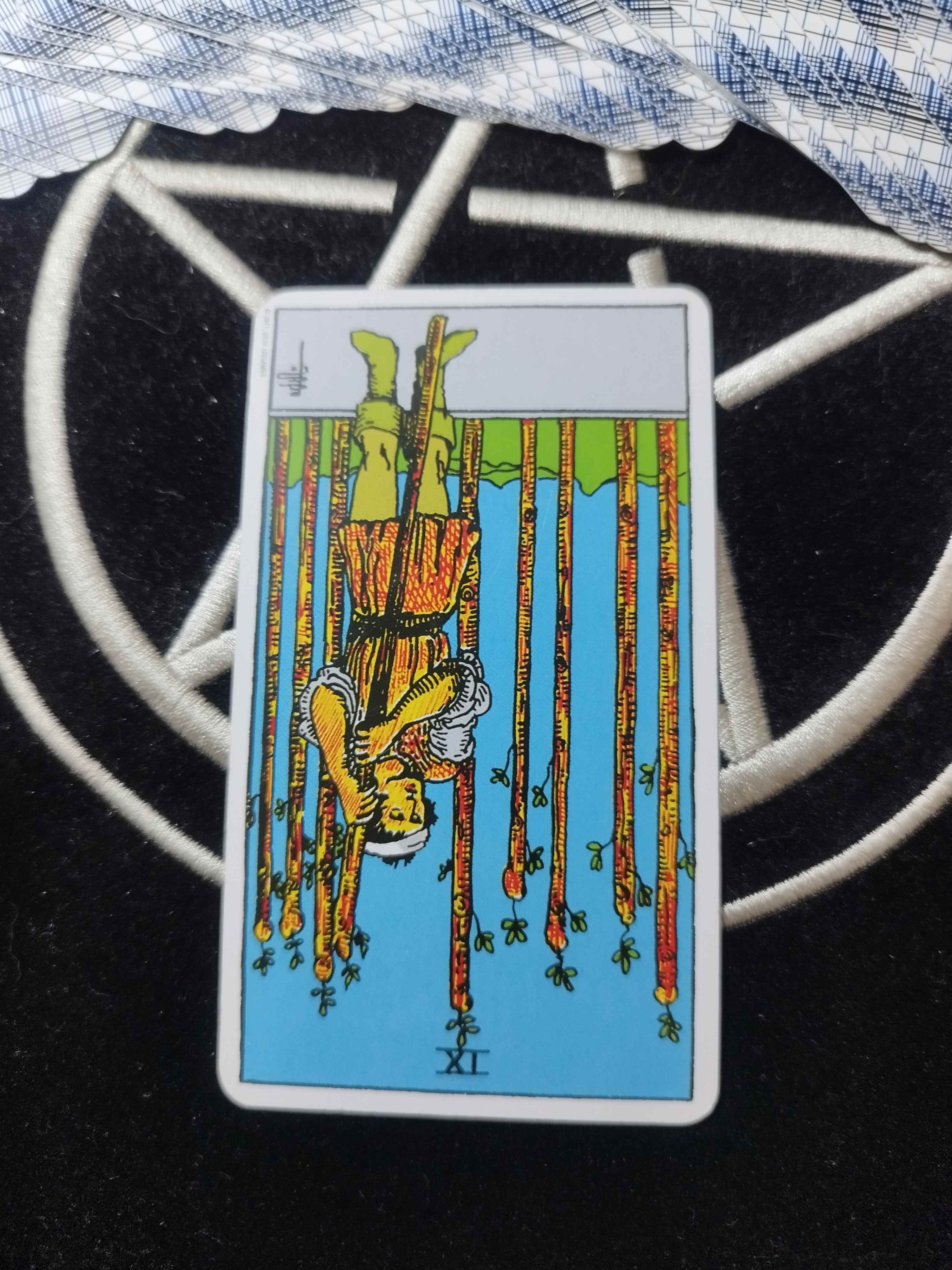 IMG_20240324_094120.jpg