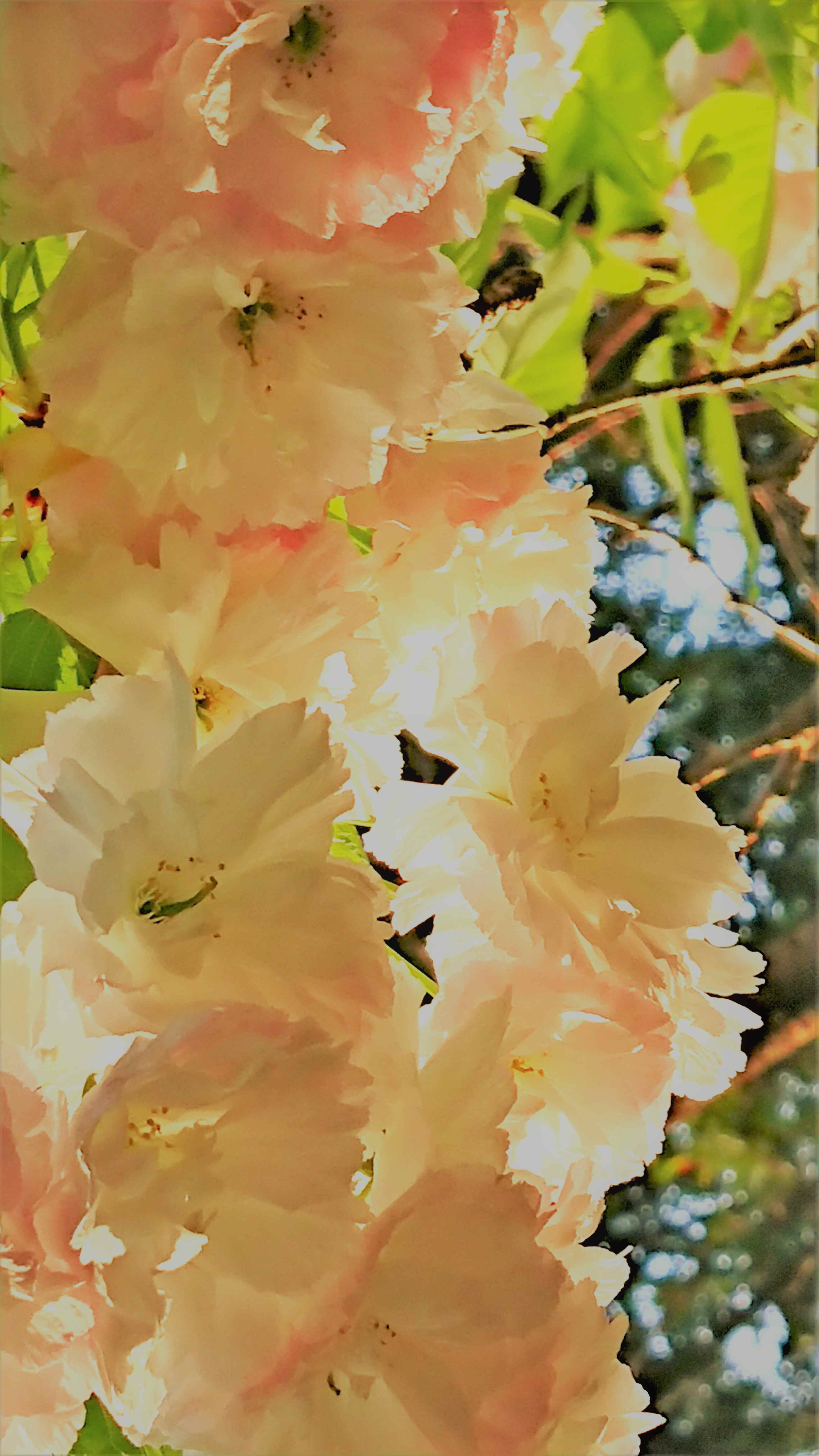 _20230408_105035 (3).JPG