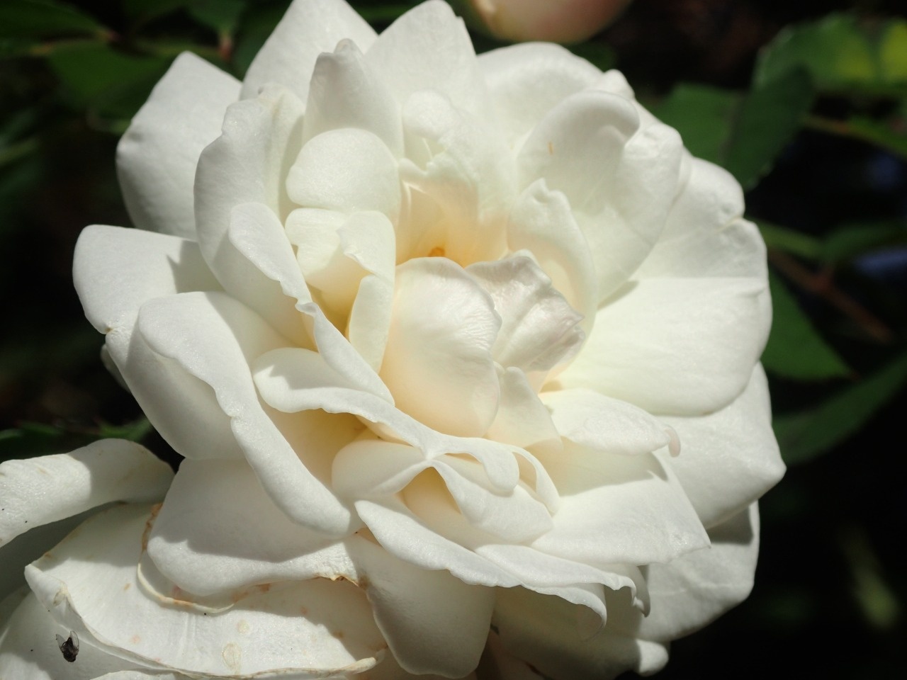 PB010777.JPG