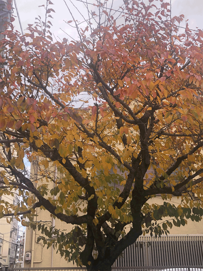 IMG_2562.png