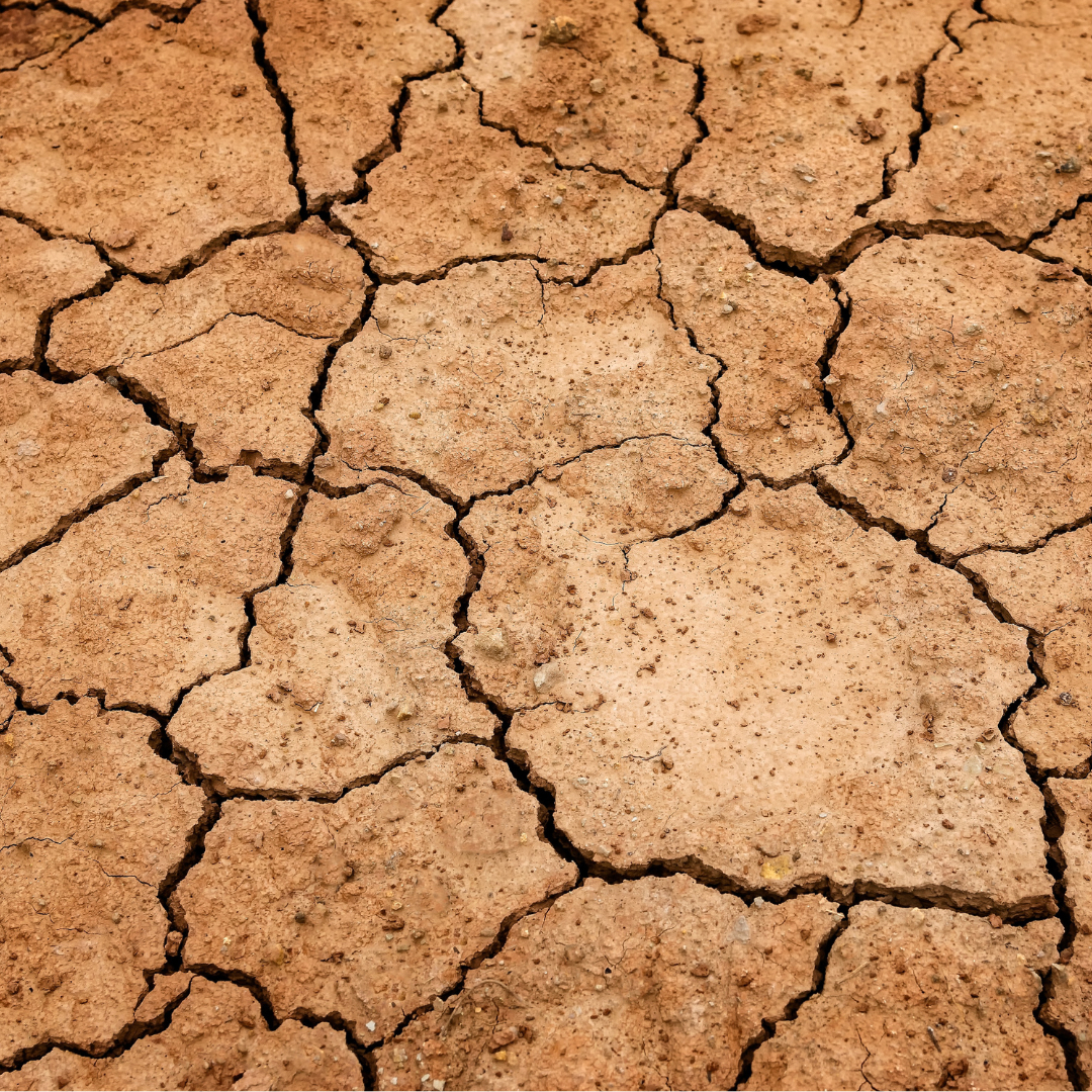 E7740CCE-2BF5-44B7-85ED-00284B559B8F.png