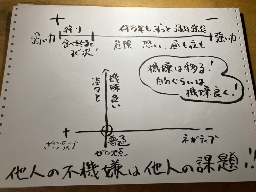 o1080081015009319713.jpg