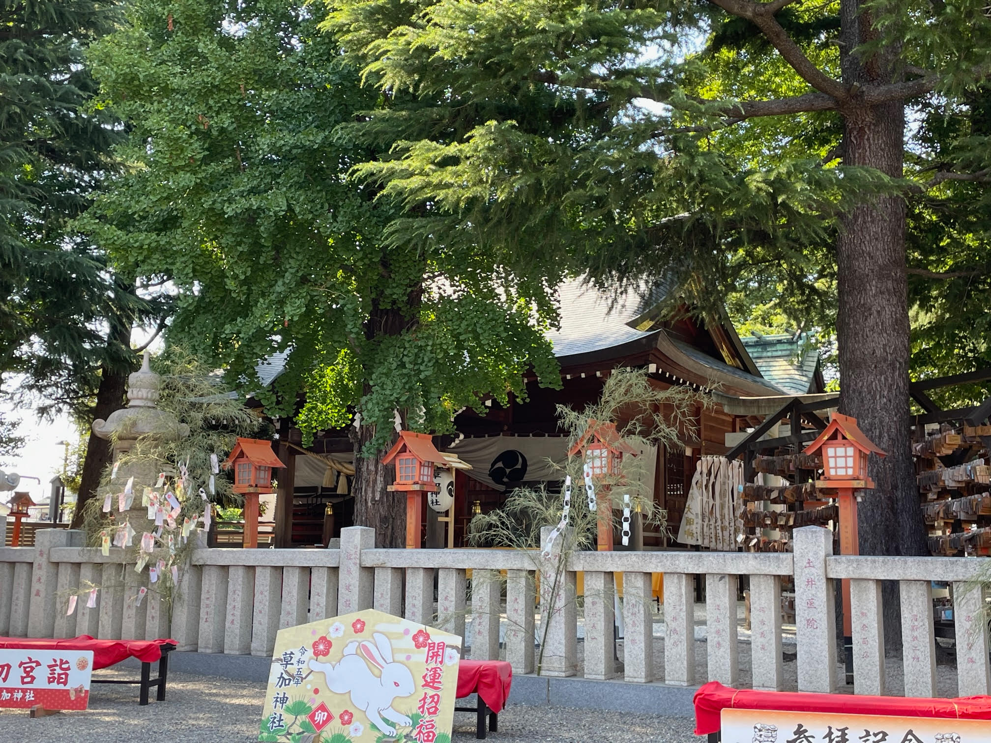 草加神社（七夕）.jpg