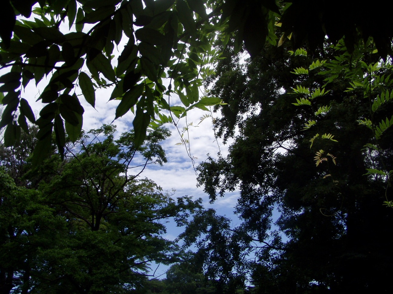 P1010103.JPG