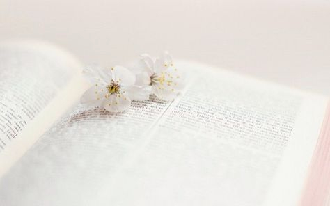 3b477009b9ebb2cb7f9619fb14521e76.jpg