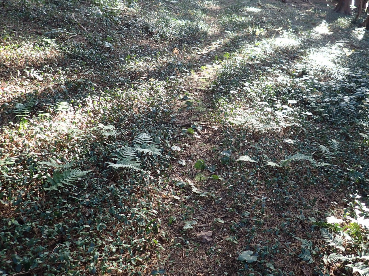 PC310229.JPG