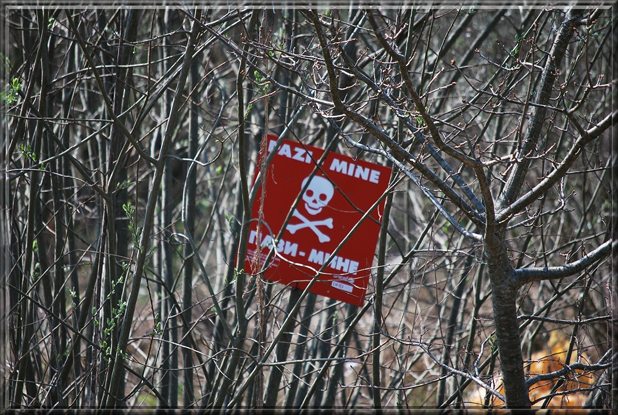 minefield-203740.jpg