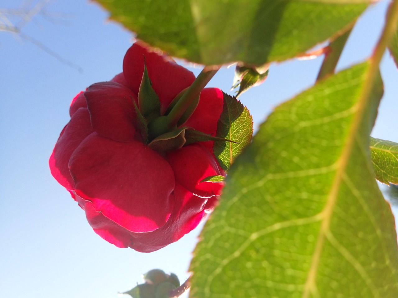 PB160302.JPG