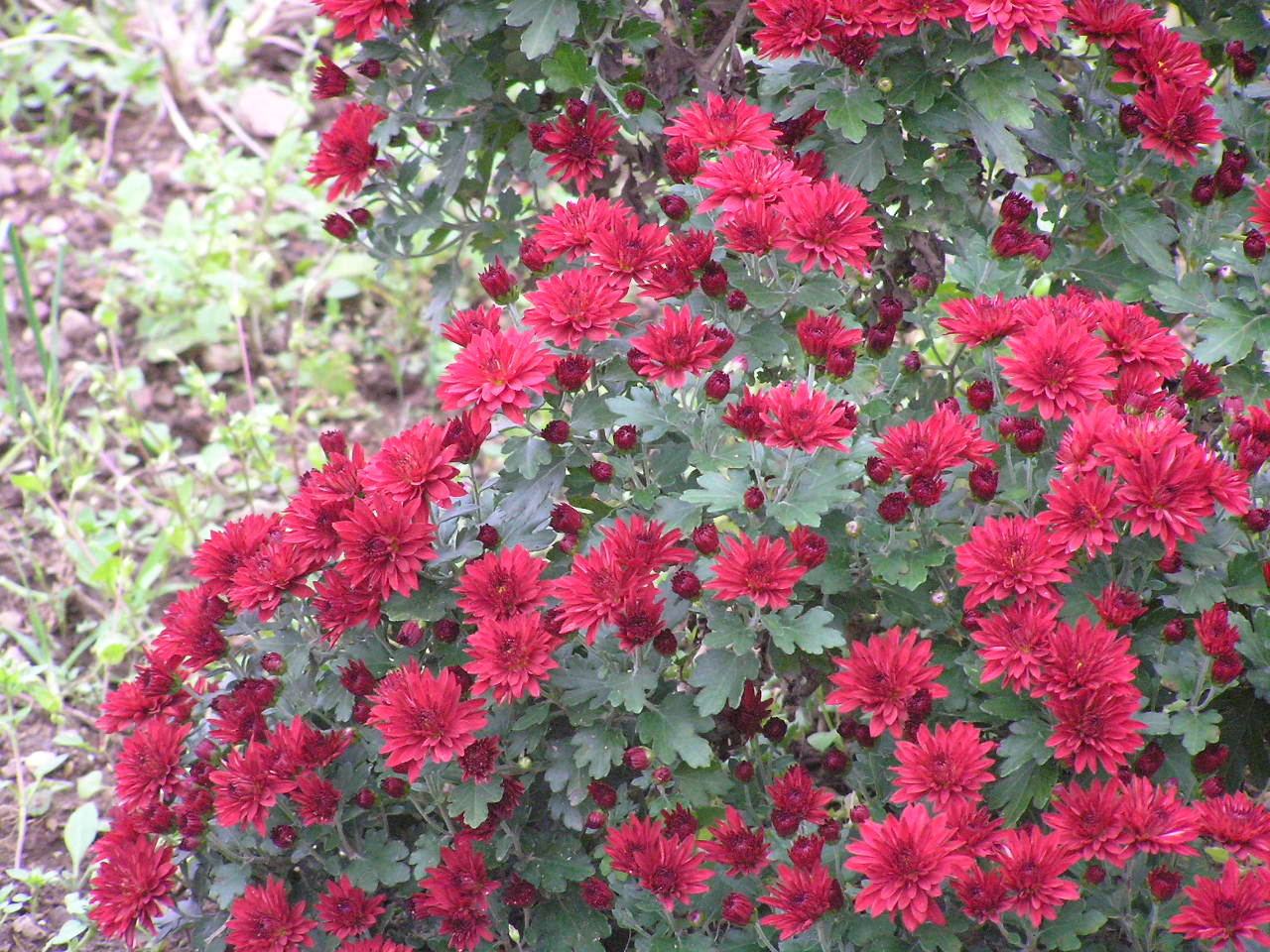 PA260249.JPG
