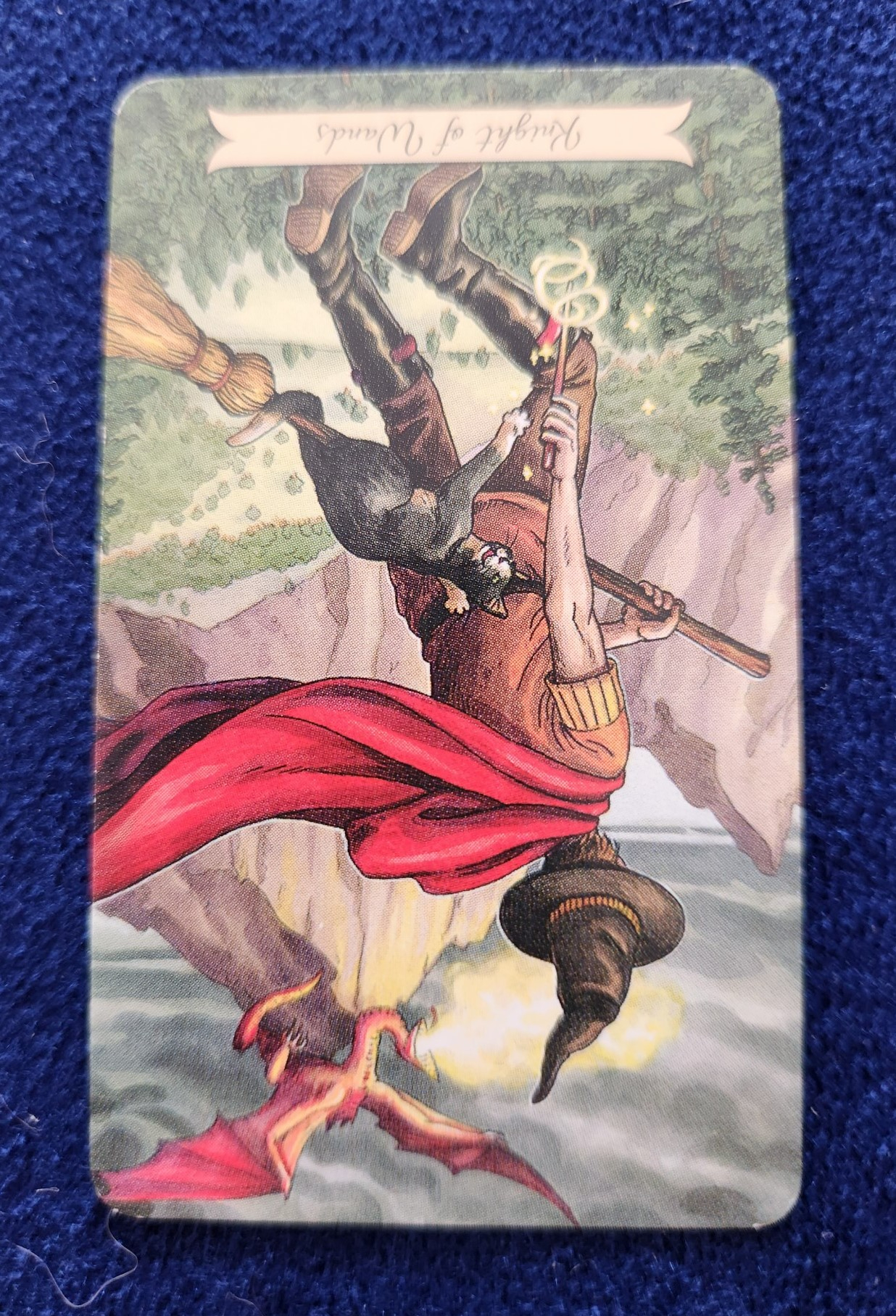 20231217_101151 (002).jpg