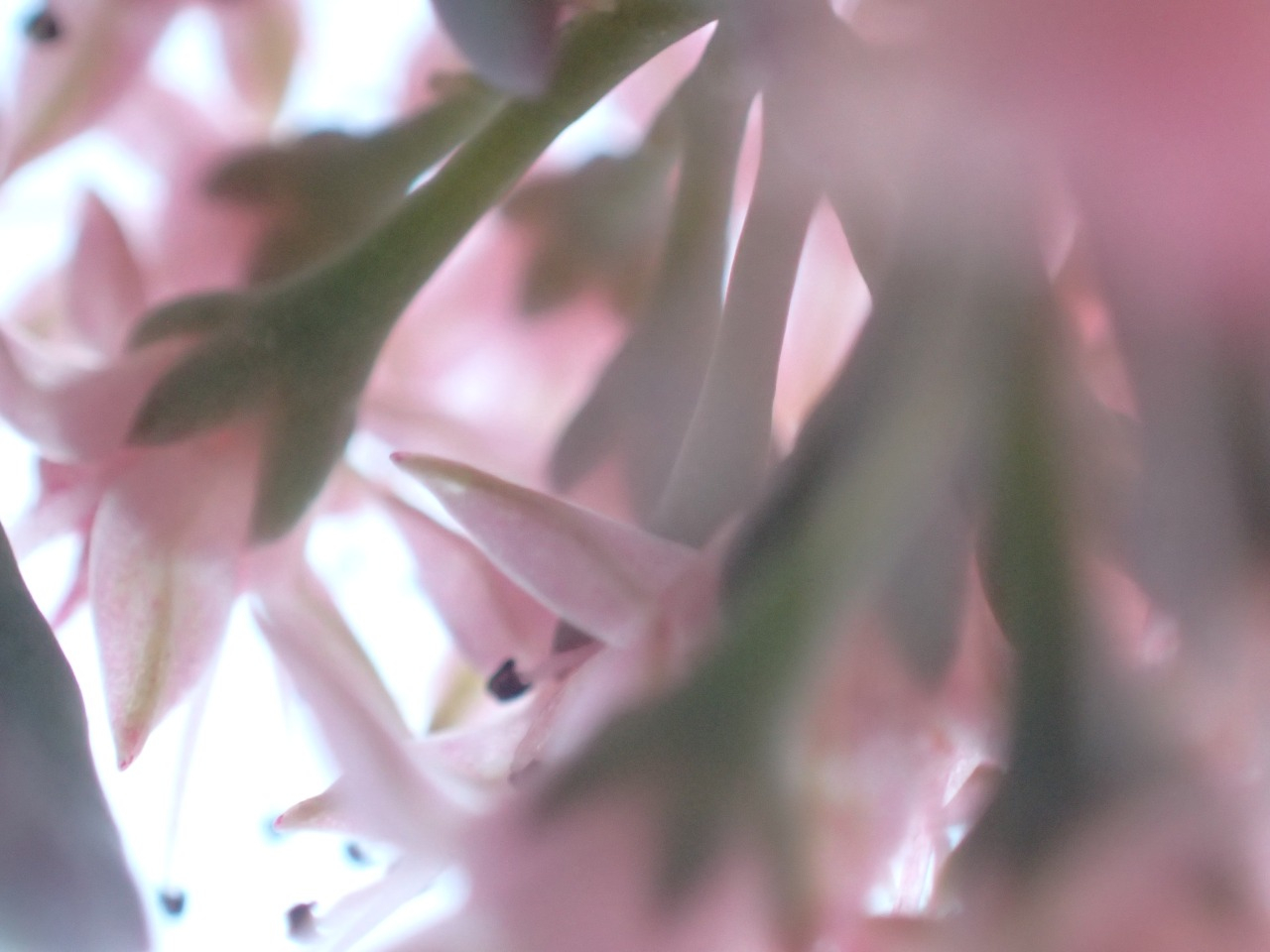 PB160808.JPG