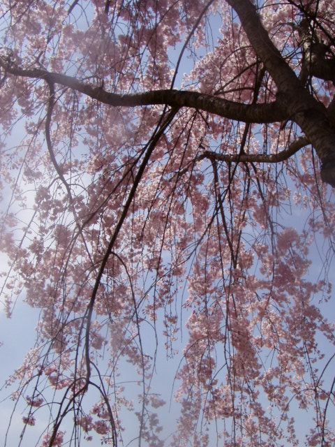 P1010238.JPG
