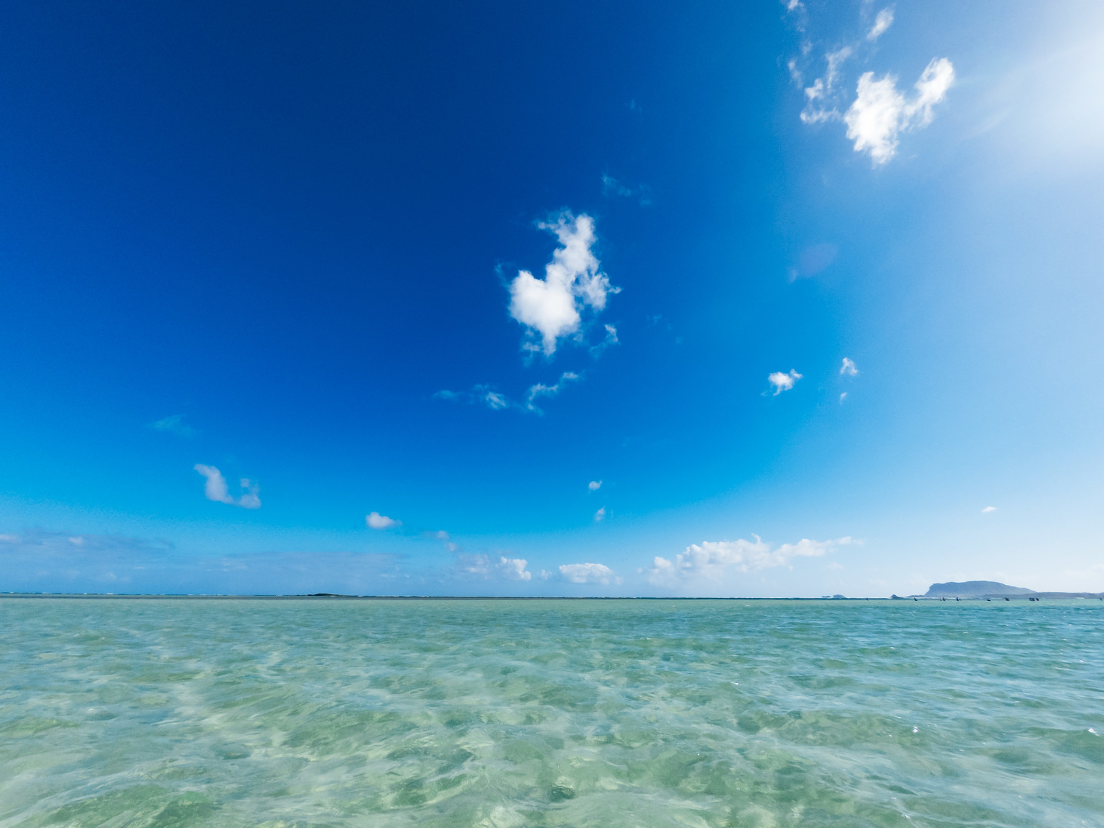 hawaiiGOPR0049_TP_V (1).jpg
