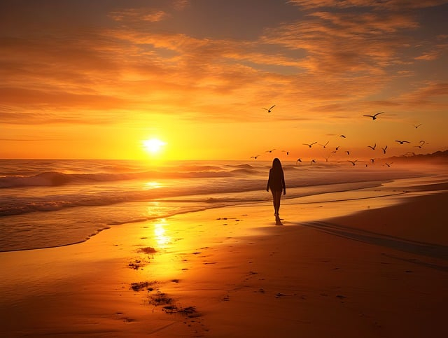 beach-8259880_640.jpg