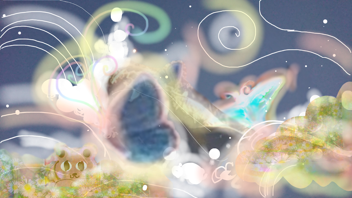 sketch-1668555203212.png