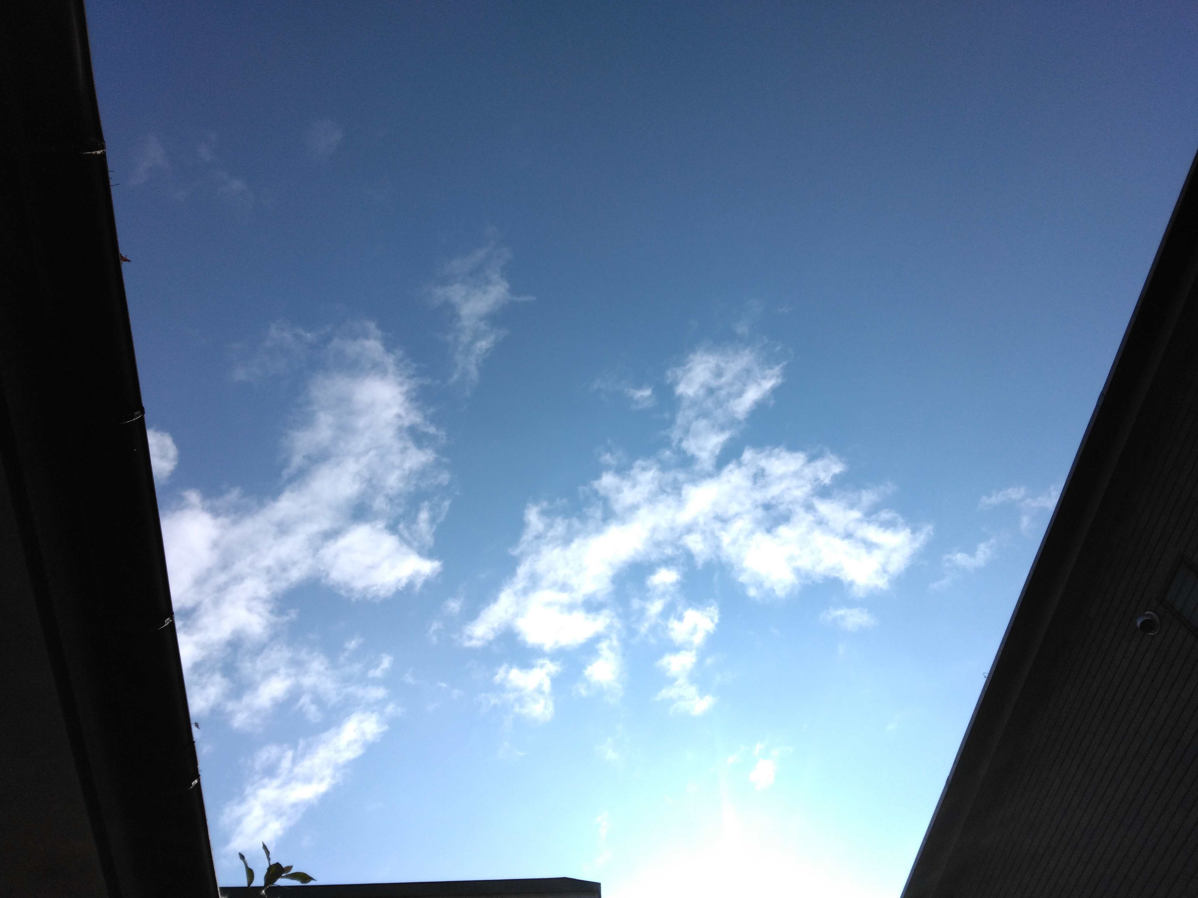 IMG_20250309_081604.jpg