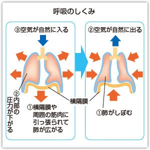 o0300030015169297562.jpg