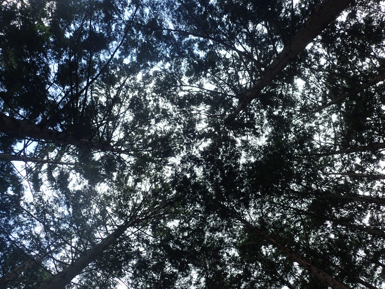 P7220604.JPG