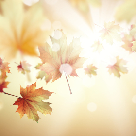 あなたの本当の望み (8).png