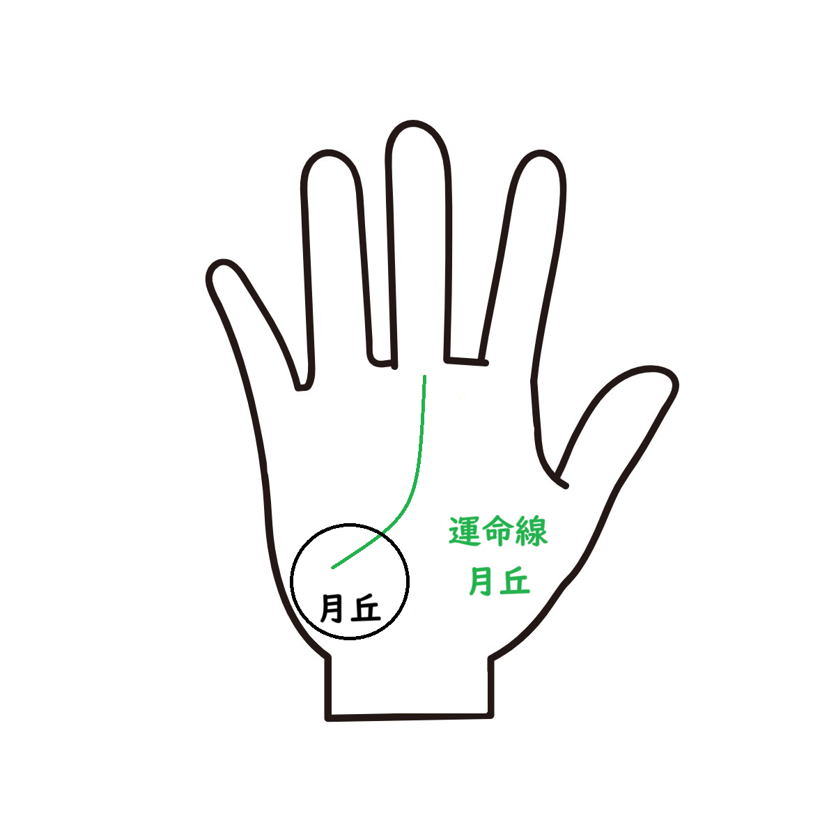 運命線　月丘.png