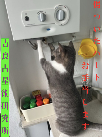 スクリーンショット 2024-12-17 15.59.35 2.png