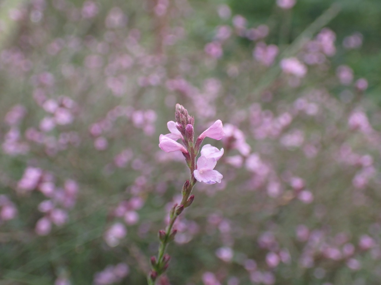PA120221.JPG