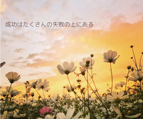 失敗と成功.png
