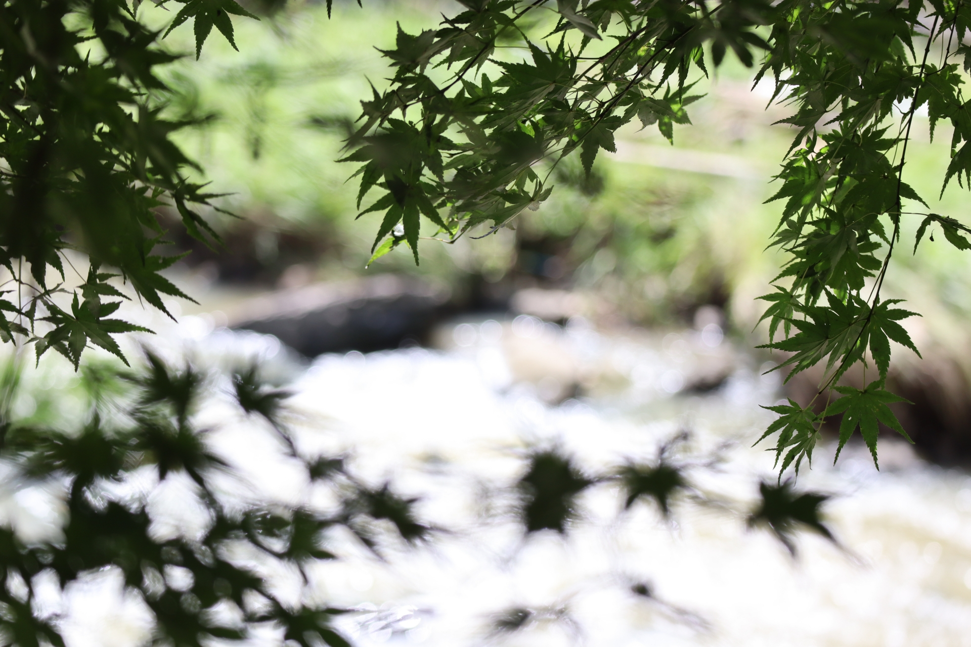 F0652350-7A9D-40FD-91EE-176022AAA1A1.jpeg