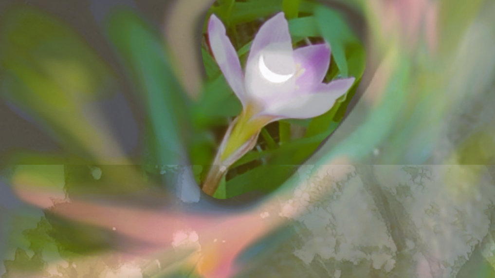 sketch-1628235940095v.png