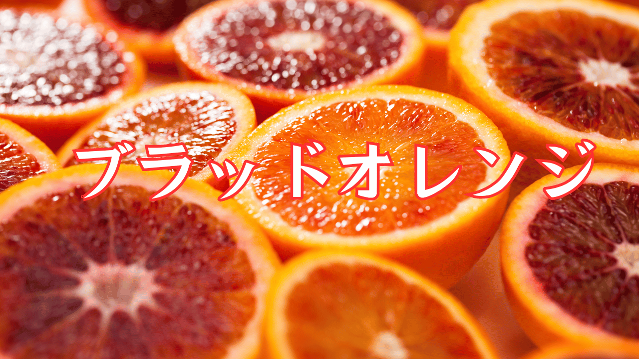見出しを追加 (17).png