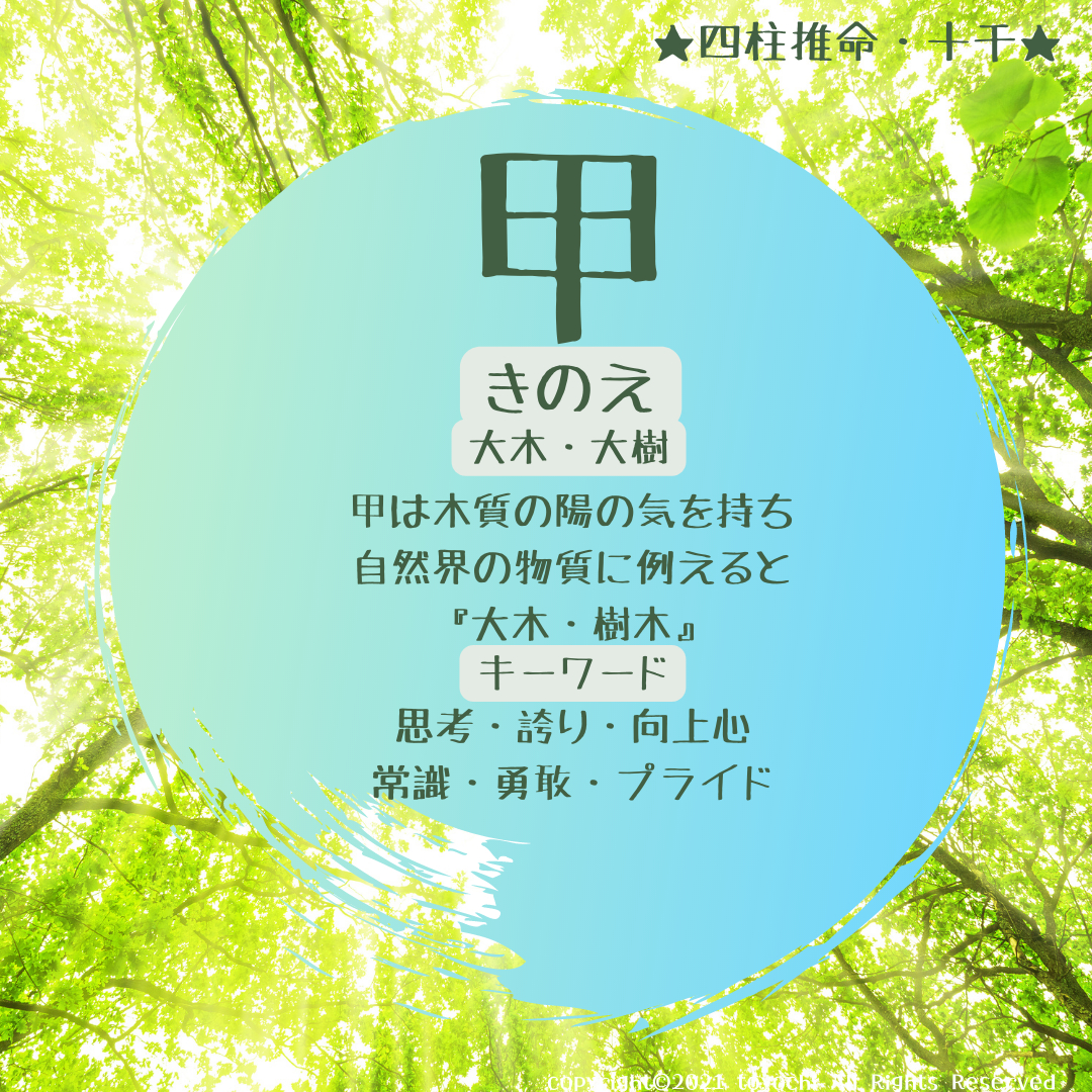 ★四柱推命★ 十干ー甲2★(9).png
