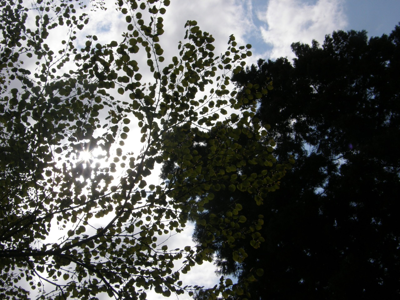 P5040097.JPG