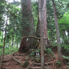 o1536204814231780136.jpg