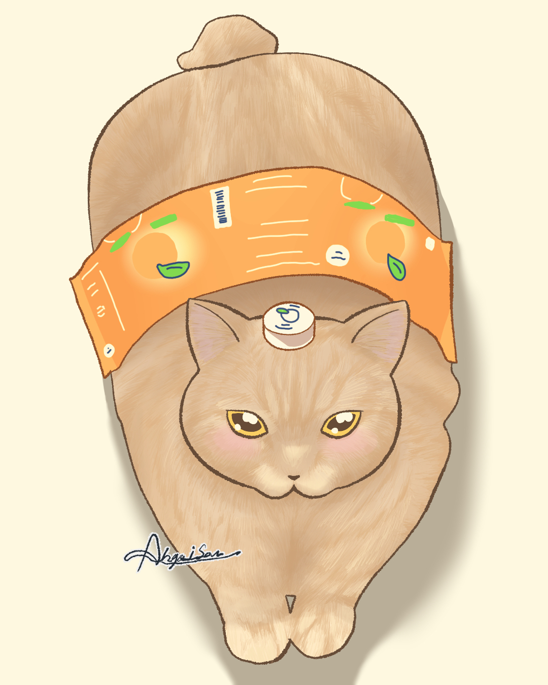 猫5.jpg