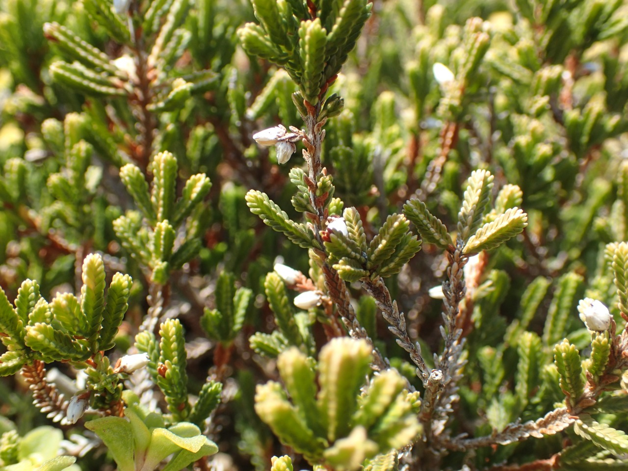 P3220783.JPG
