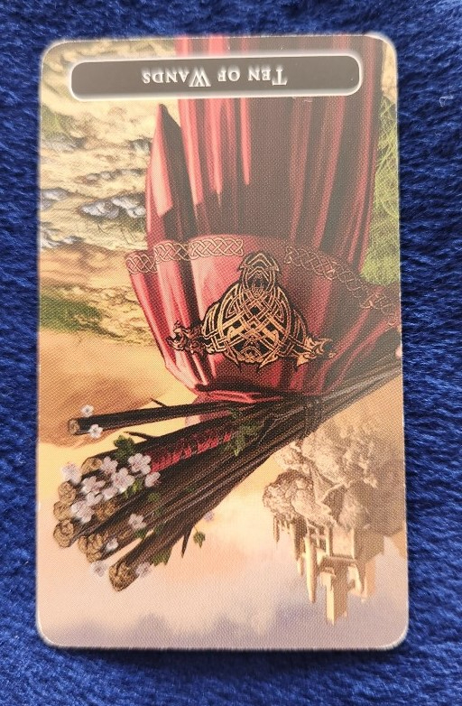 20231018_092206 (002).jpg