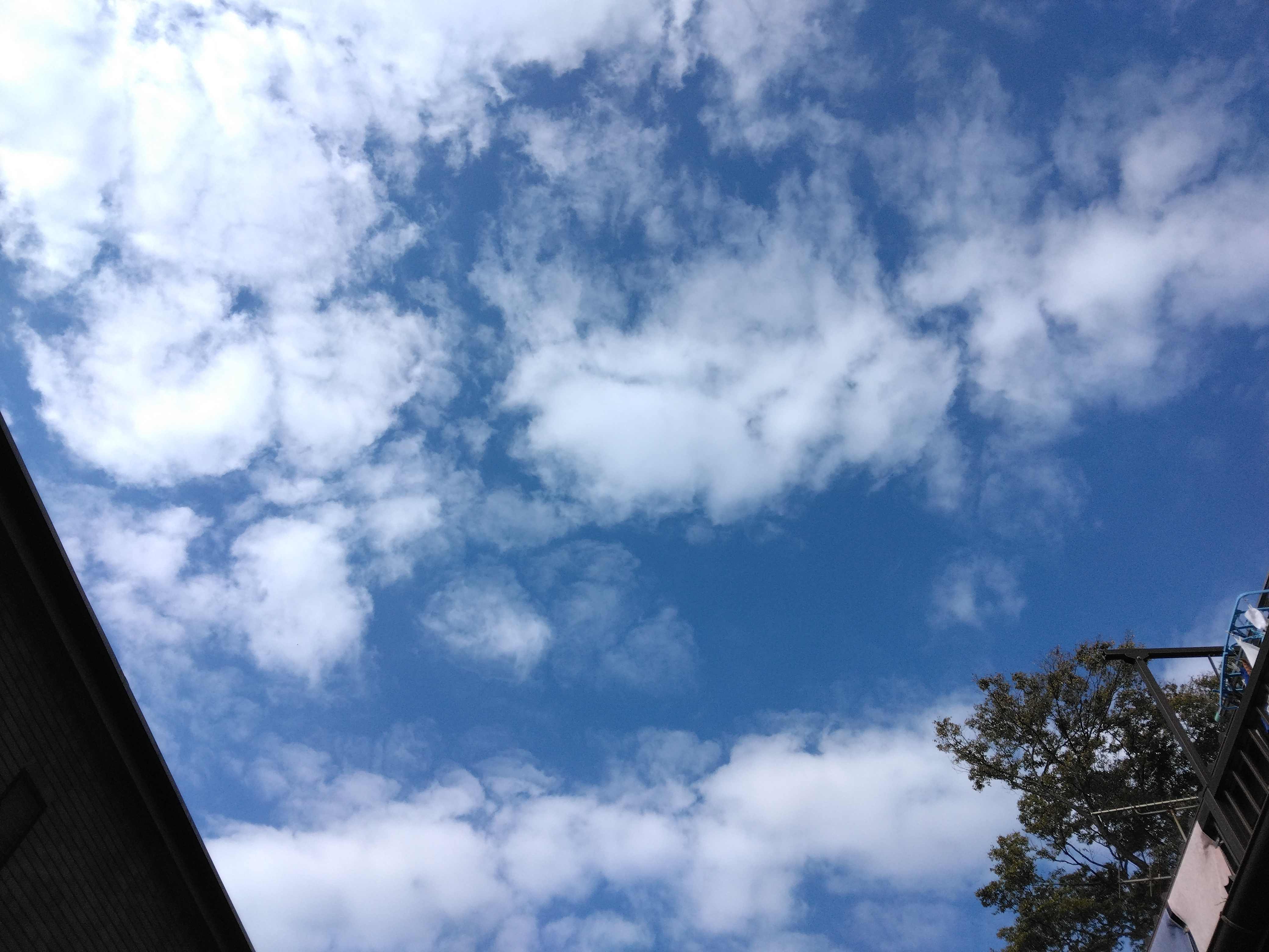 IMG_20241104_094442.jpg