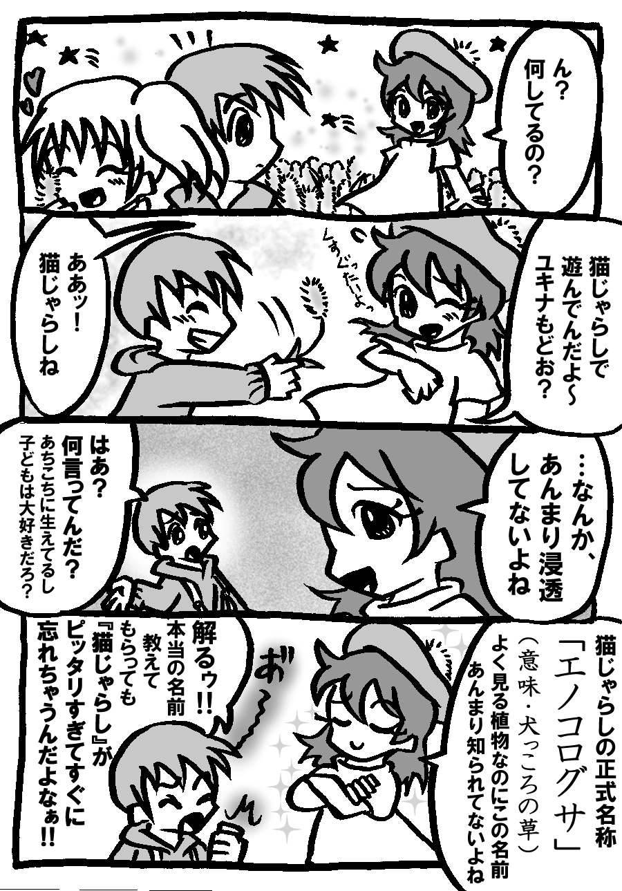 96.jpg