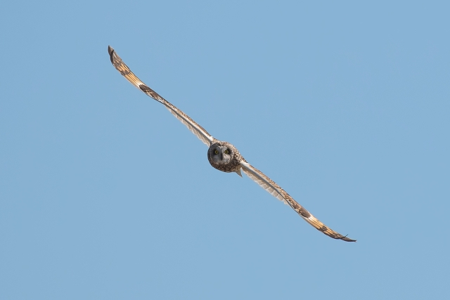 26008803_s.jpg