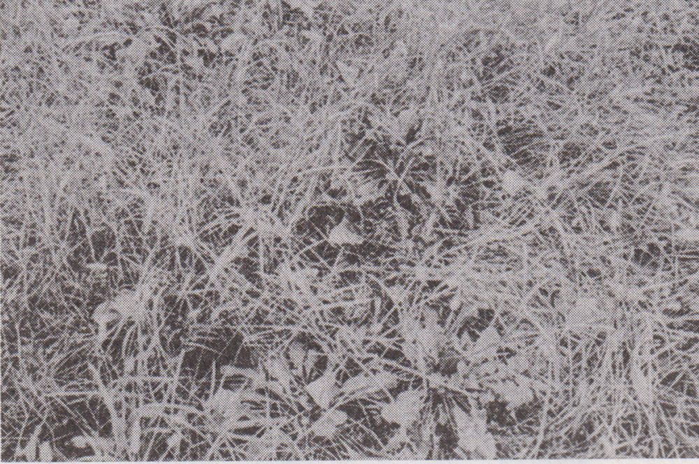 写真４.png