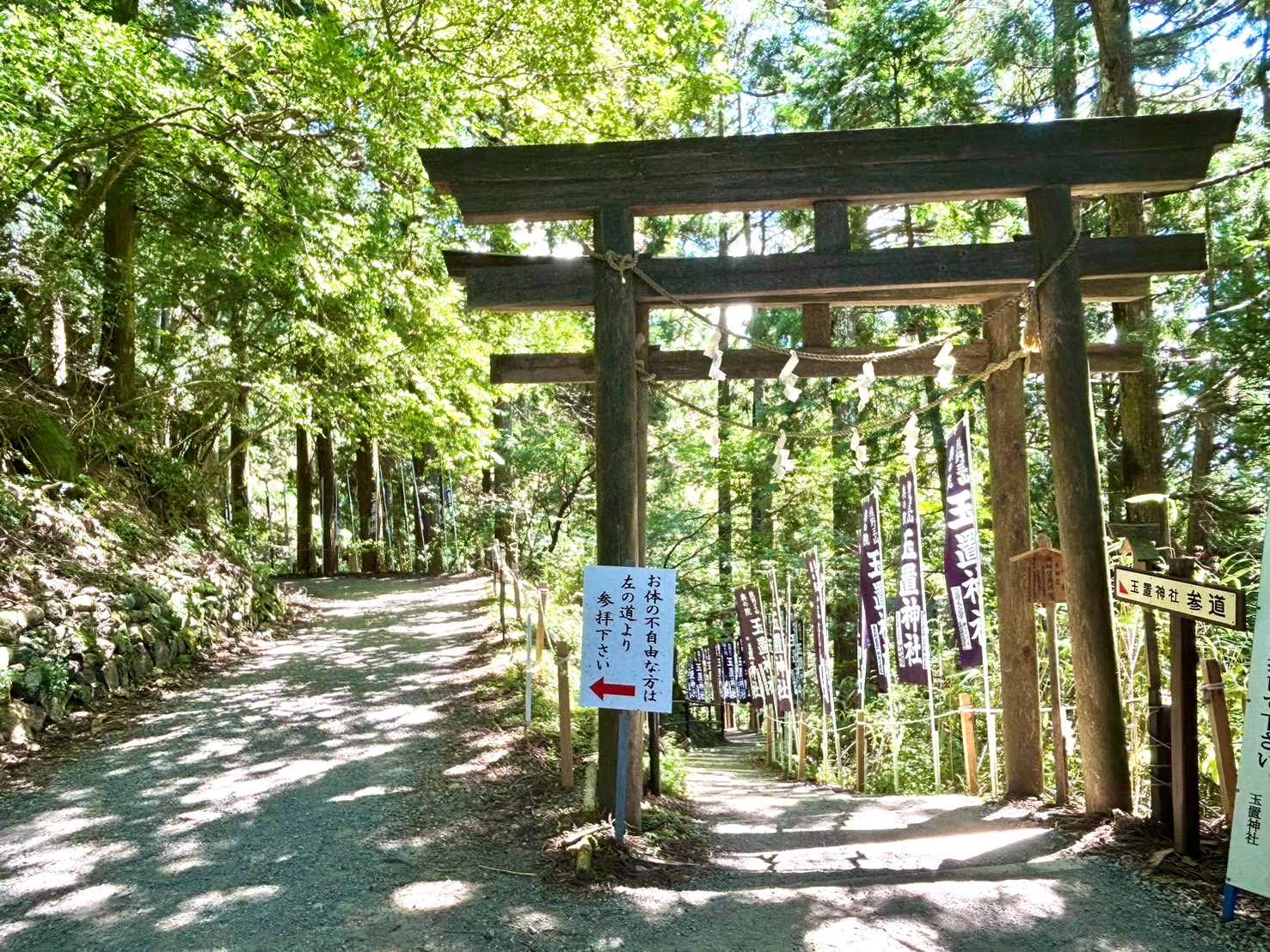S__104276027_0.jpg