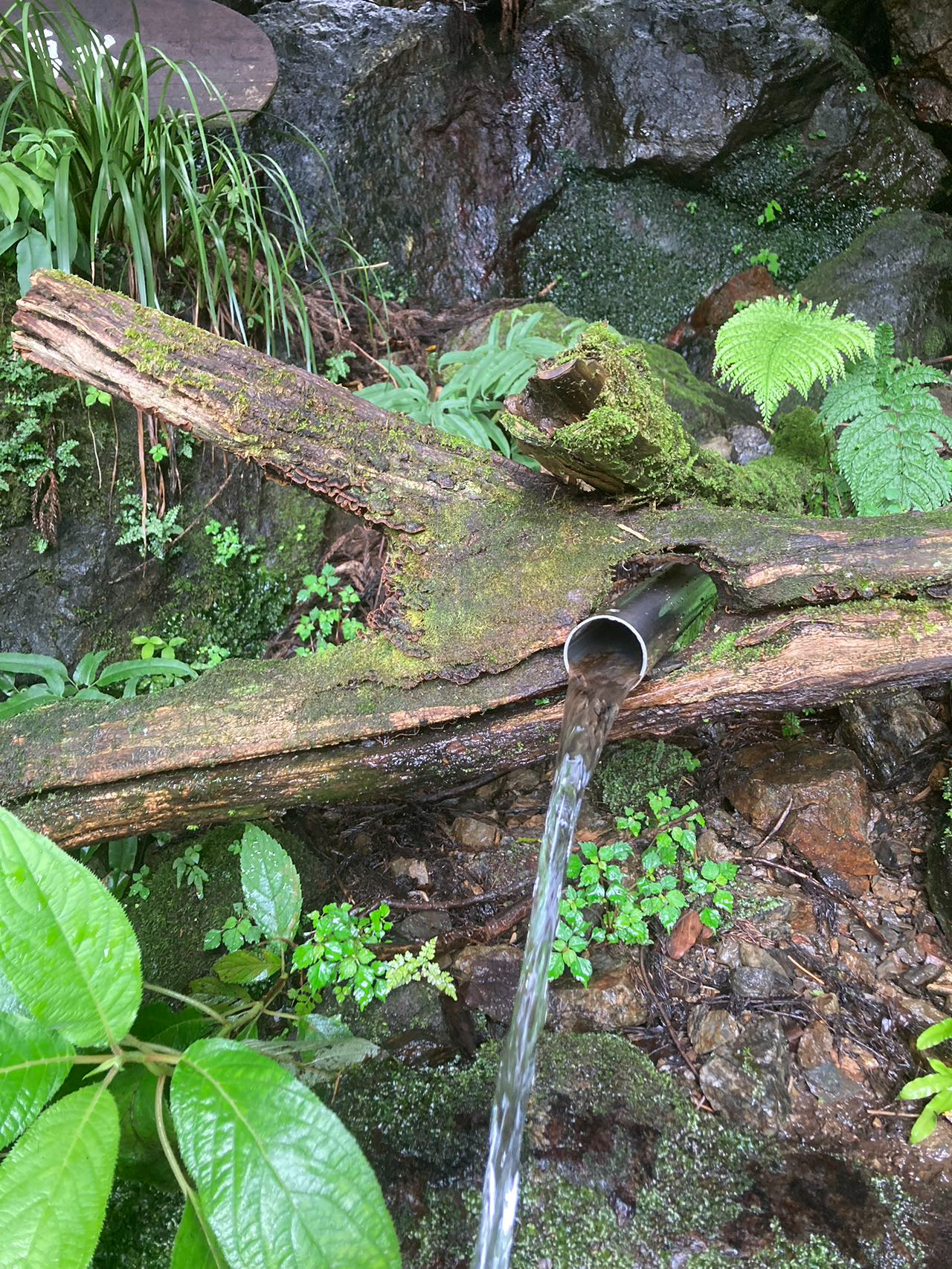 湧水.jpg