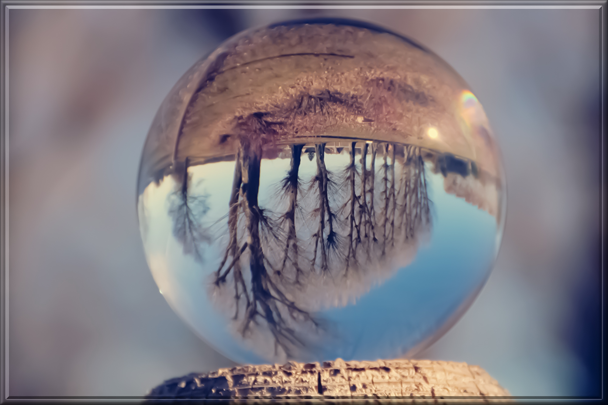 glass-ball-4017587.jpg