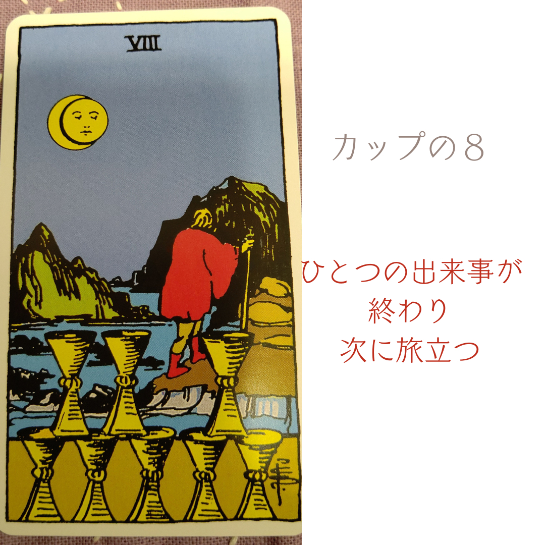 カップ８.png