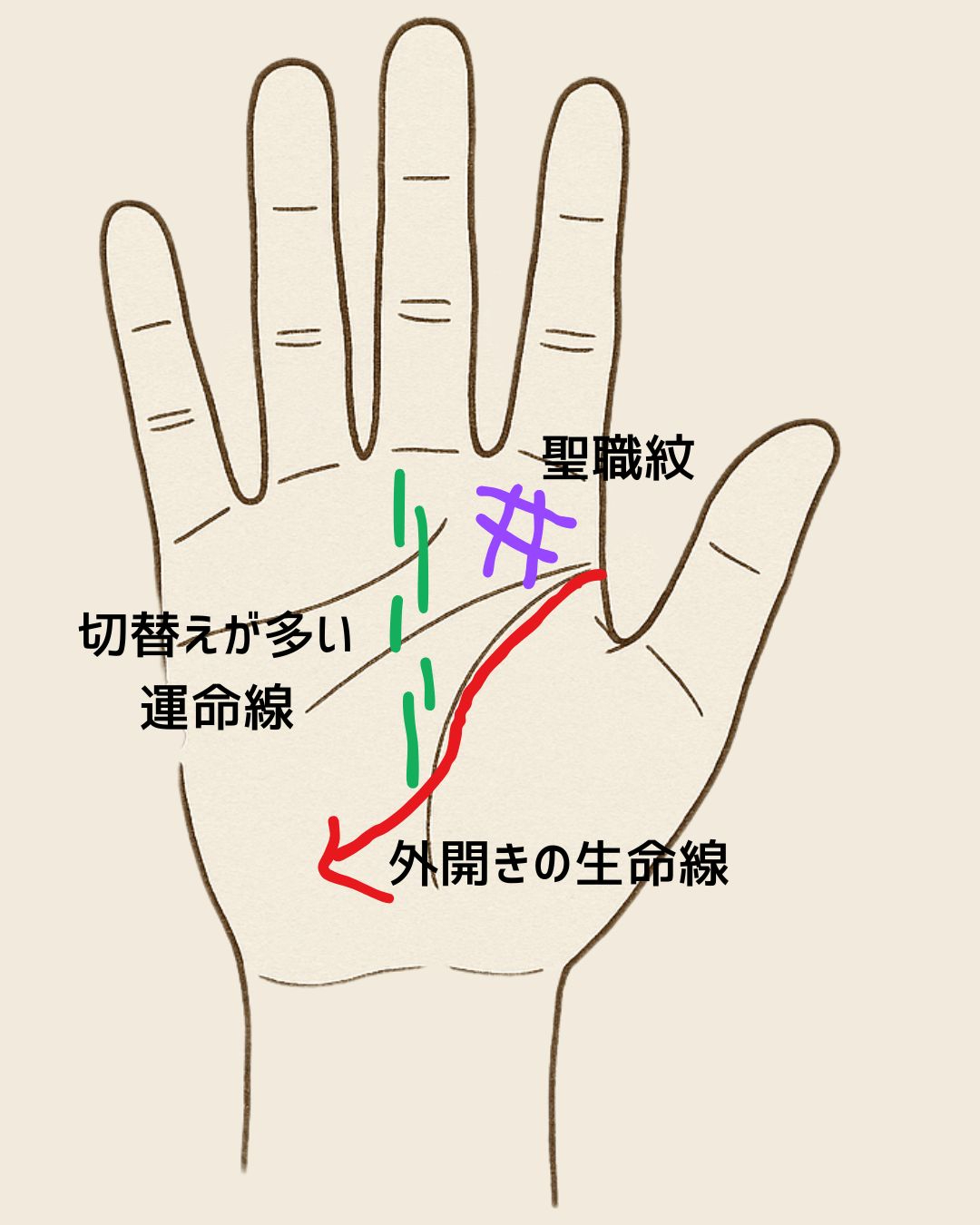 手の構造 (1).jpg