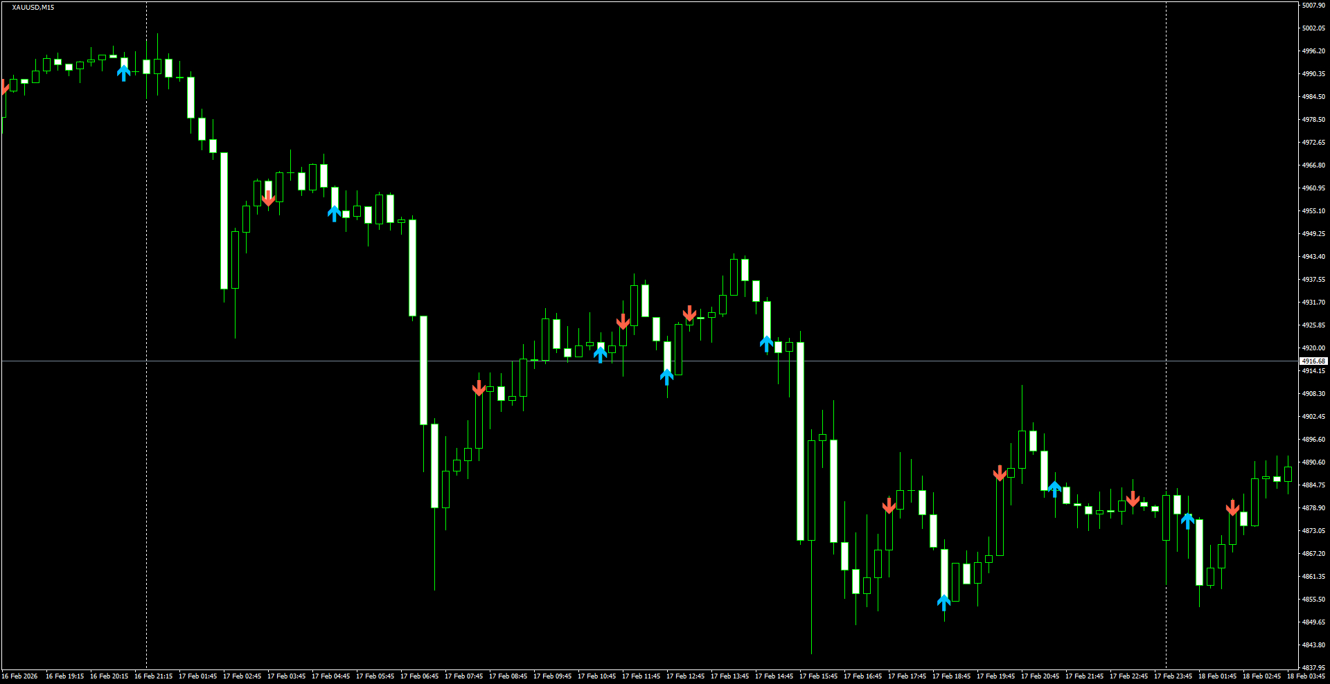 XAUUSD(M15)_2026.02.18_201556.png