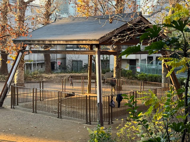 土俵.jpg