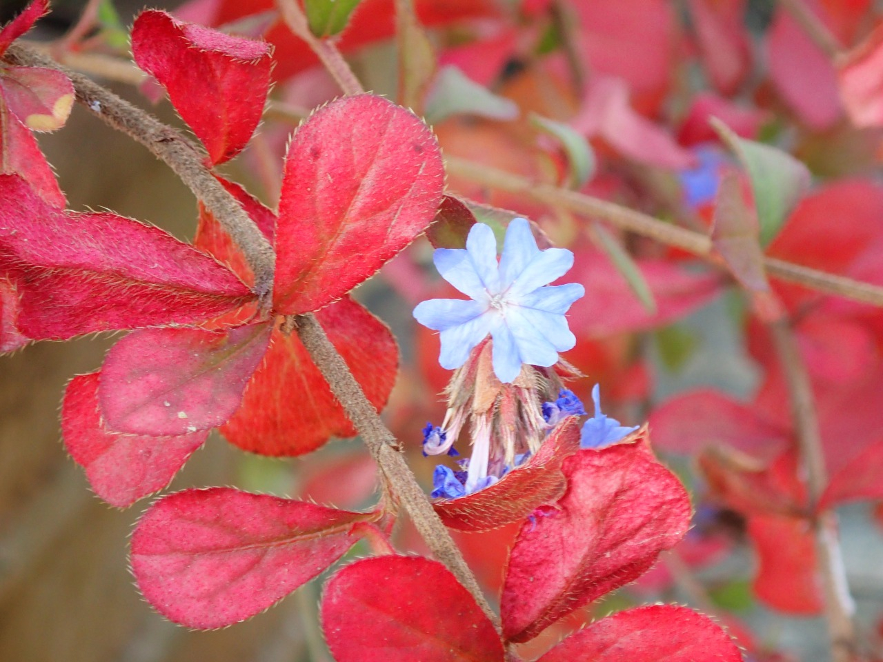 PB160526.JPG