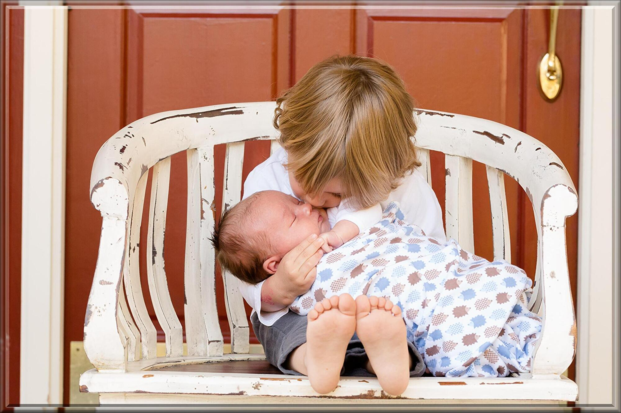 brothers-457234.jpg
